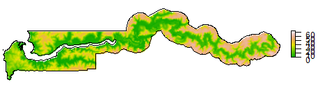 Elevation