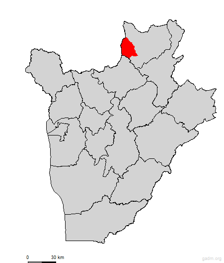 ntega