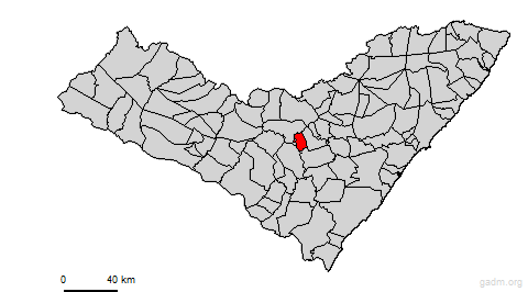 coitedonoia