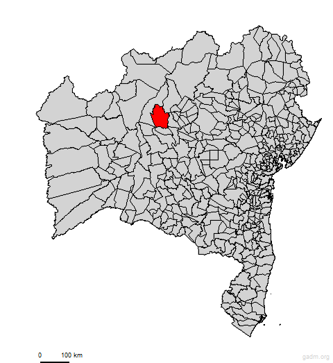 gentiodoouro
