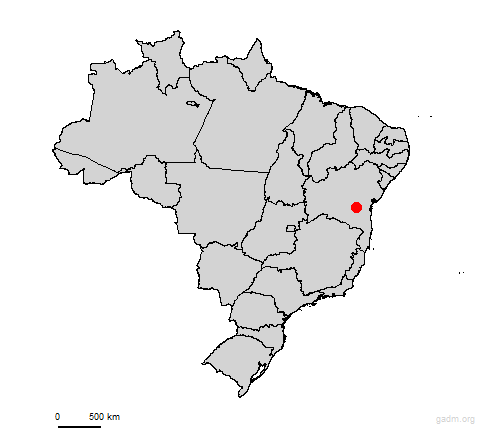 maracas