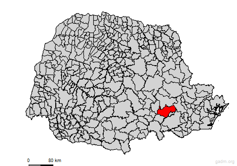 palmeira
