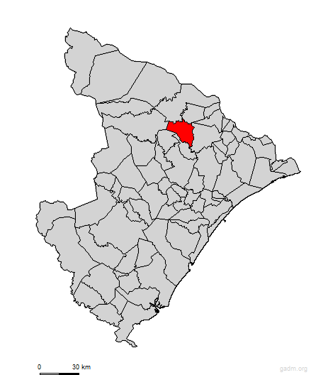 grachocardoso