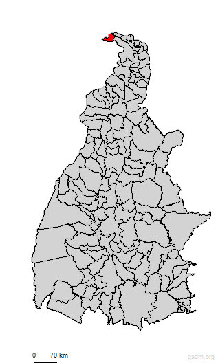 esperantina