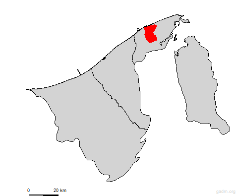 gadong