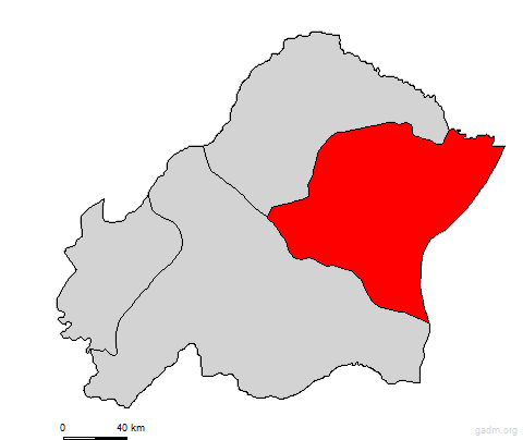 gamboma