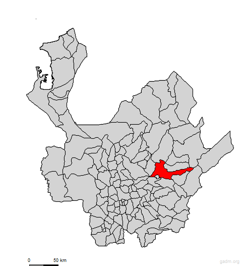 yolombo