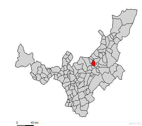 floresta