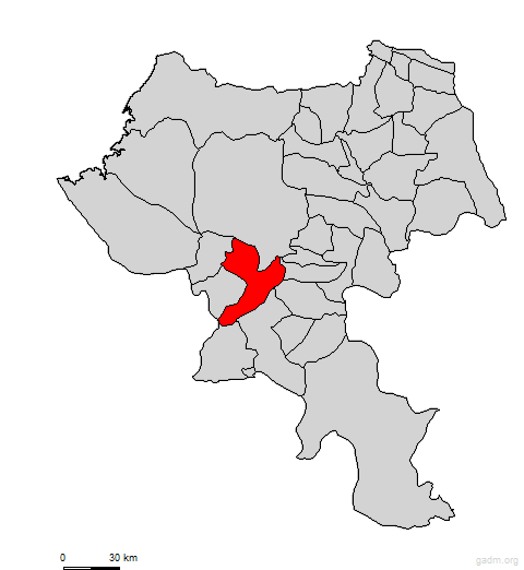 patia