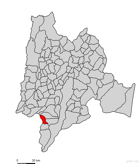 pandi