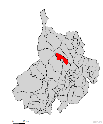 betulia