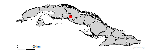 cruces