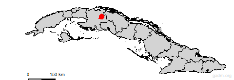 colon