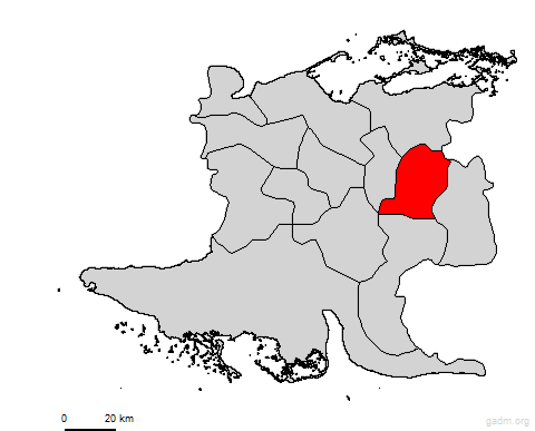 colon