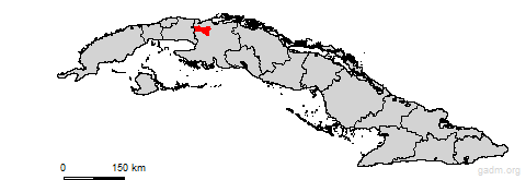 limonar