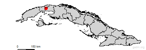 bejucal