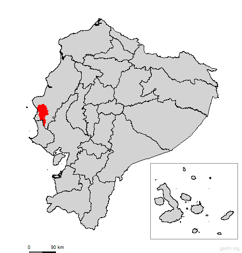 jipijapa