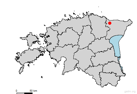 kivioli