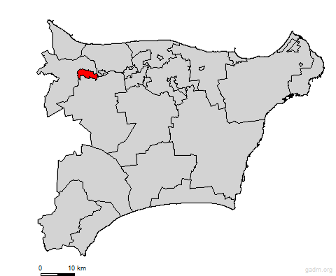 kivioli