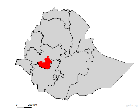 jimma