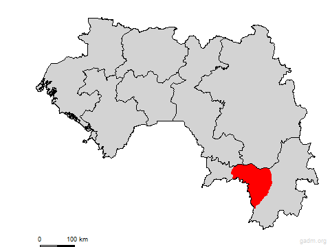 macenta