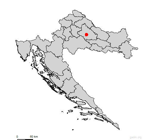 velikatrnovitica