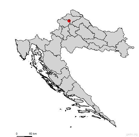 budinscina