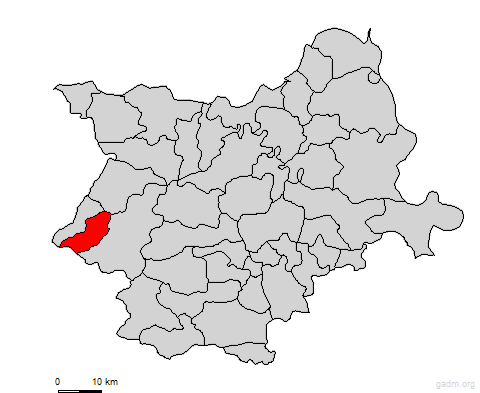 donjamoticina