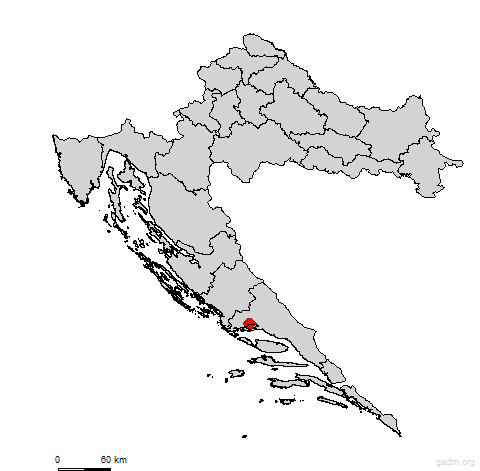 kastela