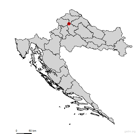 bedenica
