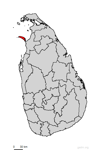 mannartown