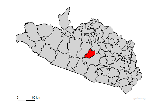 leonardobravo
