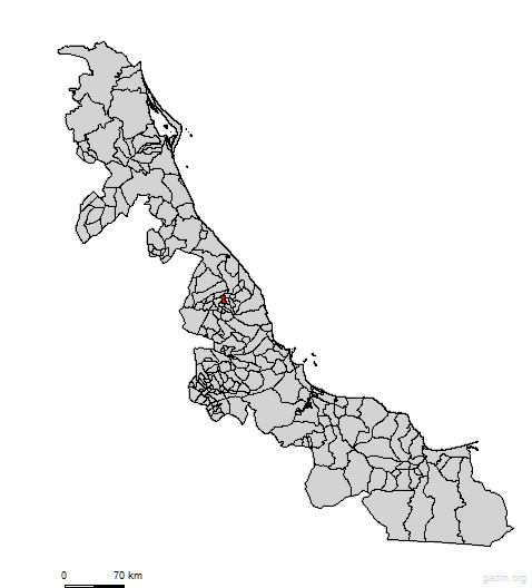 tonayan