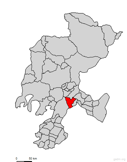 genarocodina