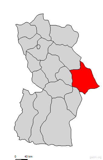 darvi