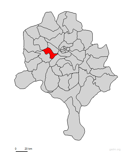 rimingad