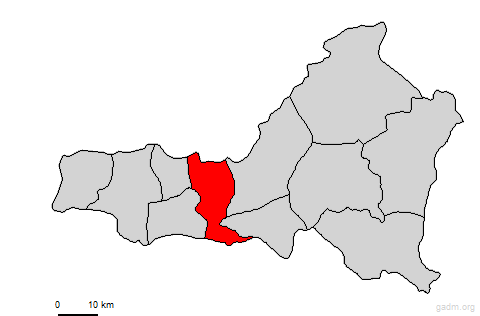 mozonte