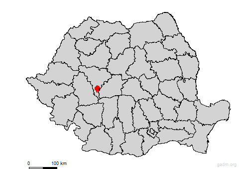sasciori