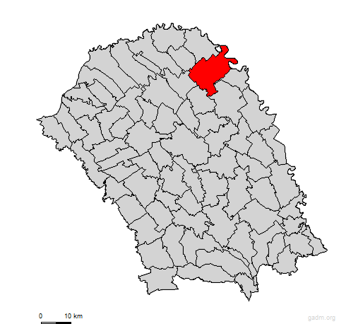 cotusca
