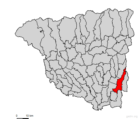 stejari
