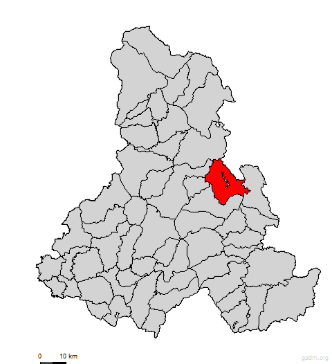 sandominic