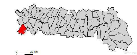 sinesti