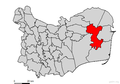 crisan