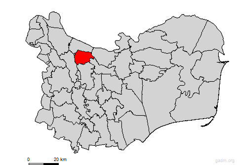 niculitel