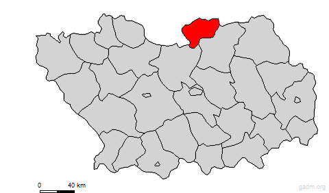 issinskiyrayon