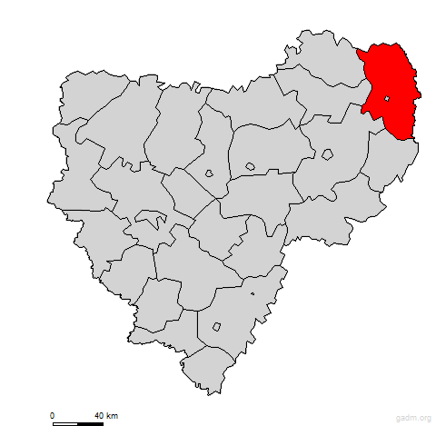 gagarinskiyrayon