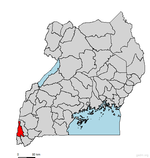 kinkiizi