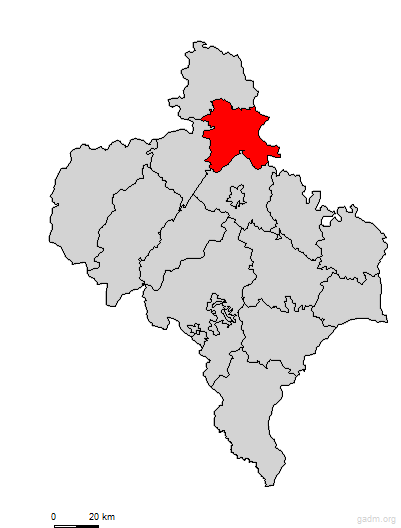 halytskyi