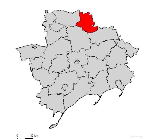 novomykolavskyi