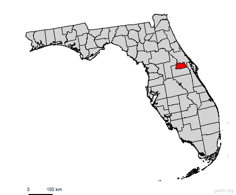 seminole